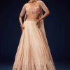 Salmon Peach Hand Embroidered Double Layer Sequence Lehenga With Frill