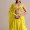 Yellow Garwal Tissue Double Circular Lehenga With Embroidered Blouse And Dupatta