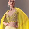 Citrus Green Ombre Crushed Lehenga Set With Organza Dupatta