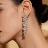 Silver Plated Zircon Danglers Earrings