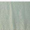 Sea Green Tissue Saree With Cutdana And Stone Embroidery