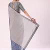Blue And Silver Half Striped Chanderi Saree Wiith Stitched Blouse