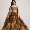 Brown Organza Floral Print Set With Zardosi And Sequins Work