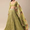 Warm Green Embroidered Skirt And Blouse