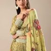 Warm Green Embroidered Skirt And Blouse