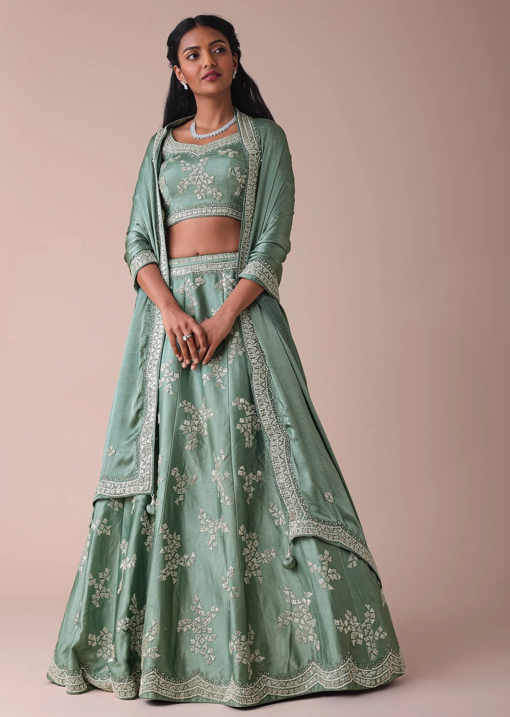 14084-pista-green-lehenga-with-handwork-embroidery-1.webp Pista Green Lehenga With Handwork Embroidery