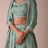 Pista Green Lehenga With Handwork Embroidery