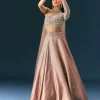 Oyster Organza Embroidered Lehenga Set With Dupatta