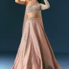 Oyster Organza Embroidered Lehenga Set With Dupatta