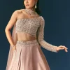 Oyster Organza Embroidered Lehenga Set With Dupatta