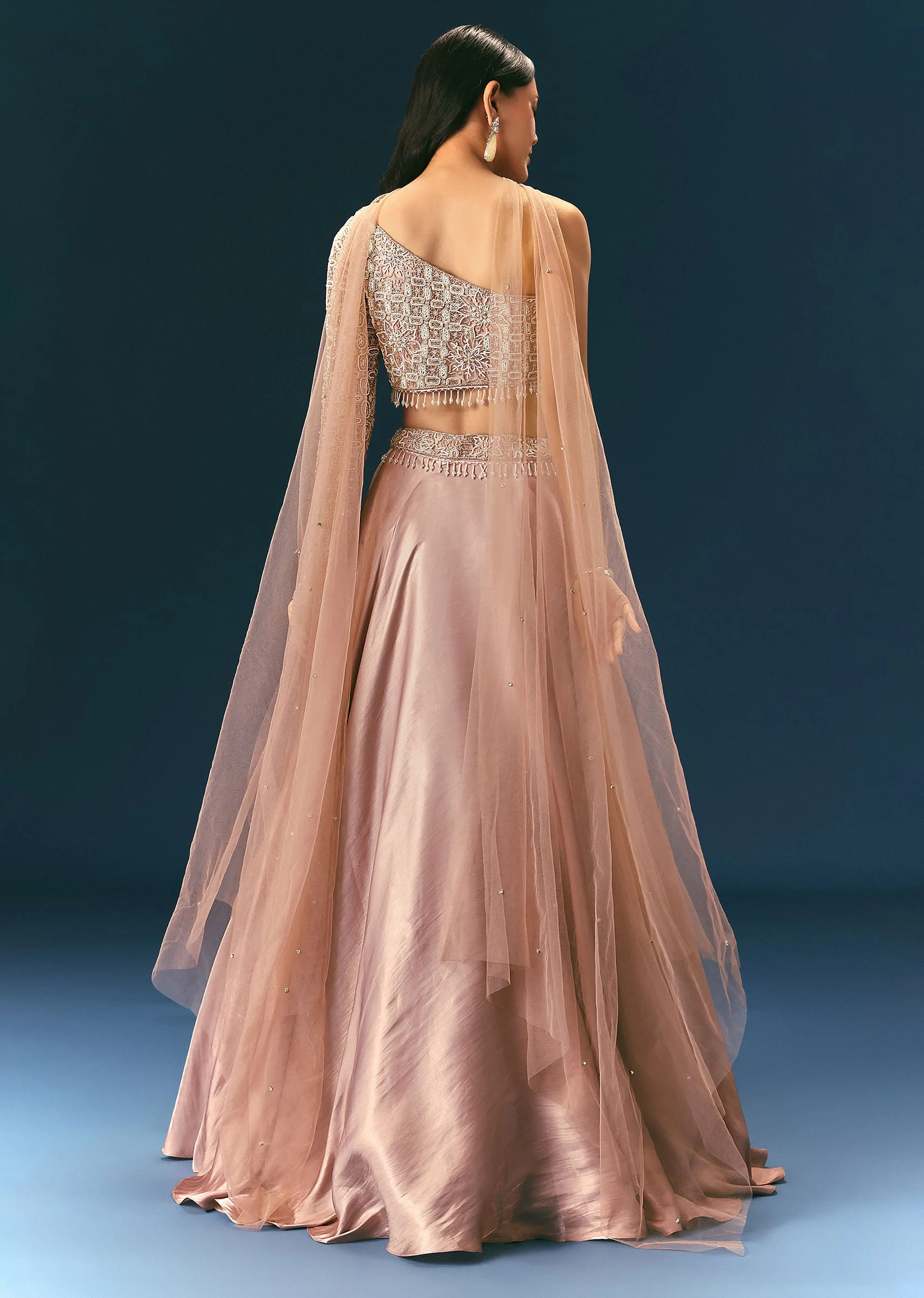 Oyster Organza Embroidered Lehenga Set With Dupatta
