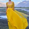 Yellow Pre Draped Skirt With Embroidered Corset Blouse And Cape