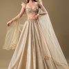 Gold Pre Pleated Lehenga With Embellished Blouse And Net Dupatta