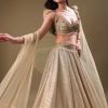 Gold Pre Pleated Lehenga With Embellished Blouse And Net Dupatta