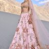 Pink Floral Embroidered Bridal Lehenga With Two Dupattas