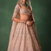 Bridal Pink Lehenga With Floral Embroidered Blouse And Scallop Dupatta