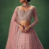 Blush Pink Hand Embroidered Lehenga Set