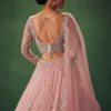 Blush Pink Hand Embroidered Lehenga Set