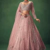 Blush Pink Hand Embroidered Lehenga Set