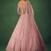 Blush Pink Hand Embroidered Lehenga Set