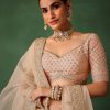 Peach Raw Silk Lehenga Set With Hand Embroidery