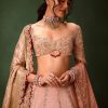 Pink Raw Silk Hand Work Lehenga Choli With Dupatta