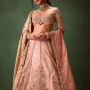 Pink Raw Silk Hand Work Lehenga Choli With Dupatta