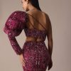 Wine Fish Cut One Shoulder Gown With 3D Organza Frills
