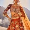 Rust Floral Embroidered Lehenga Set With Two Bordered Dupattas