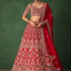 Cherry Red Hand Embroidered Raw Silk Lehenga Set With Net Dupatta
