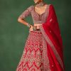 Cherry Red Hand Embroidered Raw Silk Lehenga Set With Net Dupatta