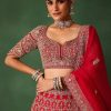 Cherry Red Hand Embroidered Raw Silk Lehenga Set With Net Dupatta