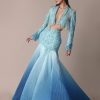 Blue Ombre Organza Fishcut Skirt With Tassel Short Jacket
