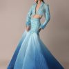 Blue Ombre Organza Fishcut Skirt With Tassel Short Jacket