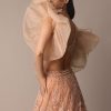 Peach Zardosi Lehenga With Dramatic Net Sleeves Blouse