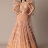 Peach Zardosi Lehenga With Dramatic Net Sleeves Blouse