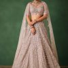 Beige Hand Embroidered Floral Lehenga With Blouse And Dupatta