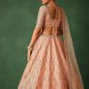 16266-peach-hand-embroidered-raw-silk-lehenga-set-with-butti-work-4.jpg Peach Hand Embroidered Raw Silk Lehenga Set With Butti Work