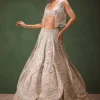 Silver Embroidered Lehenga With Blouse And Jacket