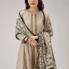 Beige Printed Chanderi Handwork Anarkali