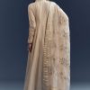 Beige Tissue Anarkali Suit With Delicate Zari Embroidery