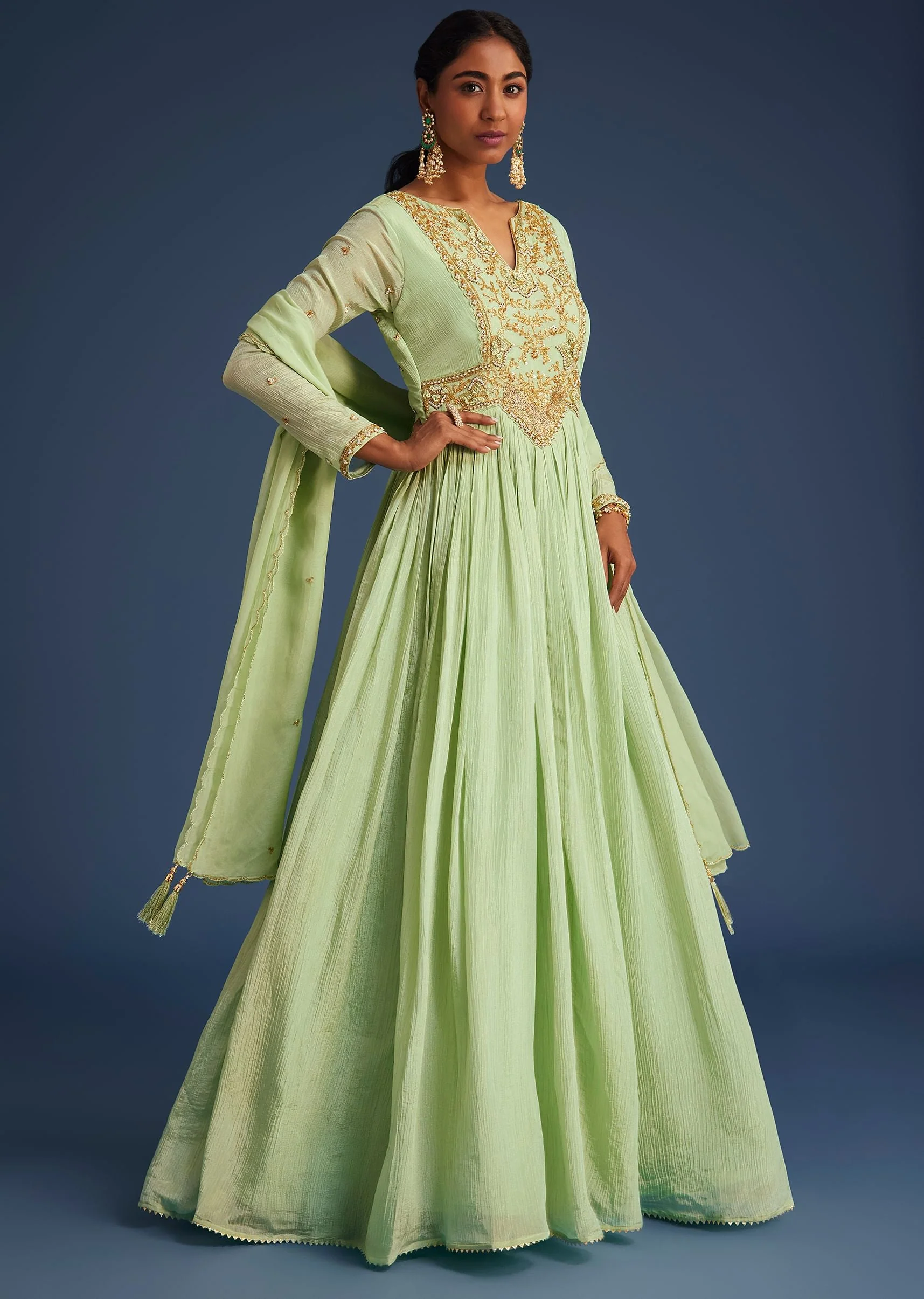 18044-mint-green-tissue-embroidered-anarkali-with-dupatta-1.webp Mint Green Tissue Embroidered Anarkali With Dupatta
