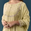 Pista Green Gotta Lace Tissue Anarkali Suit Set With Pant And Dupatta