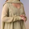 Green Zardosi Tissue Anarkali Suit Set With Pant And Dupatta