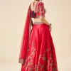 Rani Pink Embroidered Bridal Lehenga Set