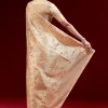 Golden Banarasi Tissue Saree With Multicolour Floral Weave And Paithani Motif Border