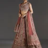 Pink Printed Lehenga With Mirror And Stone Accents