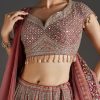 Pink Printed Lehenga With Mirror And Stone Accents