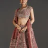 Pink Printed Lehenga With Mirror And Stone Accents