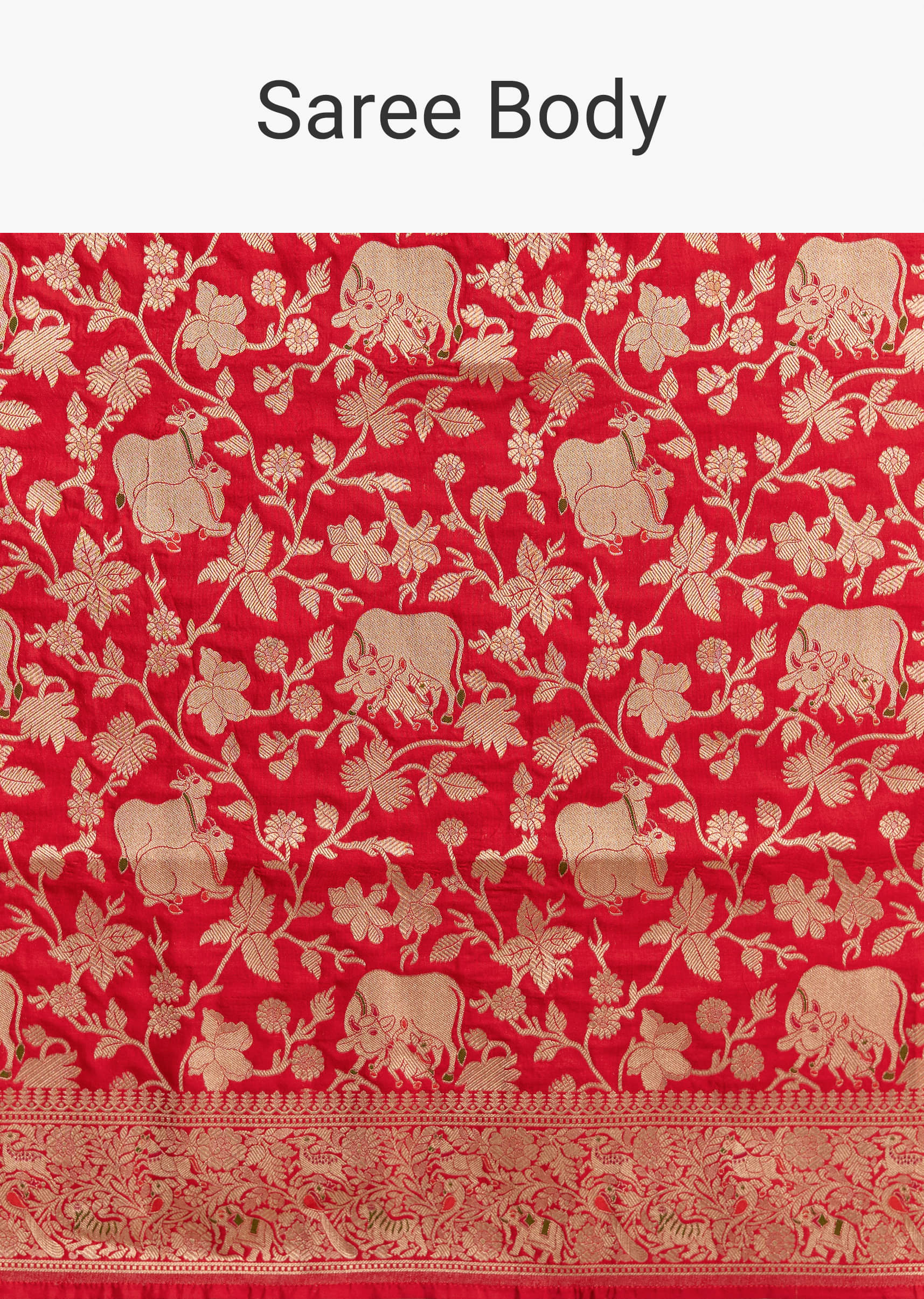 Red Silk Handwoven Banarasi Saree With Floral Zari Jaal Work